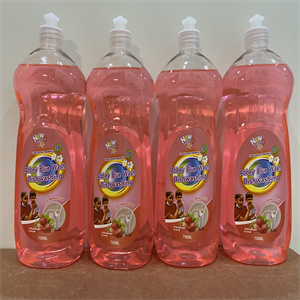 Strong Perfume Dish Washing Detergent Liquid For Kitchen Use High Foam Guaranteed Quality Liquid Detergent to Guyana Market