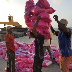 Al-wattan OEM High Quality Washing Powder bulk laundry detergent pinakamagandang presyo para sa Zanzibar market